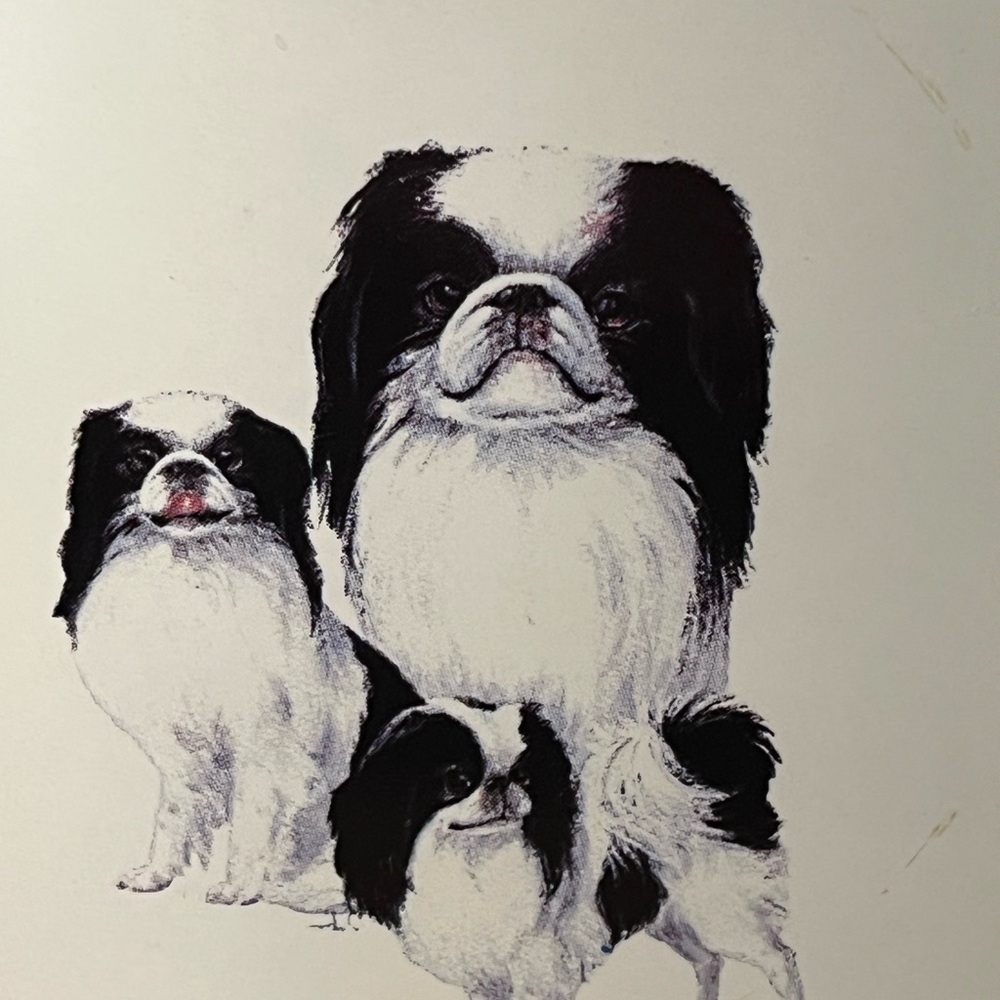 Japanese Chin Dog Wall Hanger Wood Tile Dogs Pets Animals Home Decor